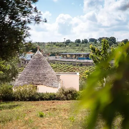 Trullo Caelum * Alberobello